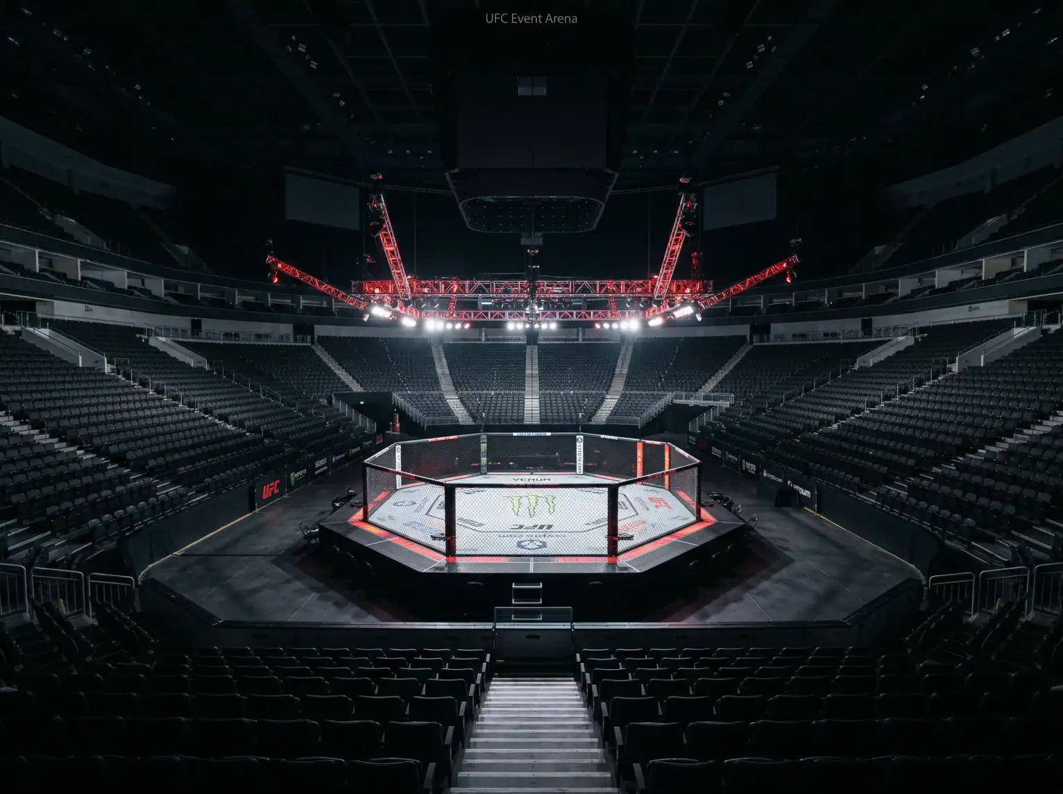 UFC-Oktagon bei einem internationalen MMA-Event mit Kampfsport-Atmosphäre